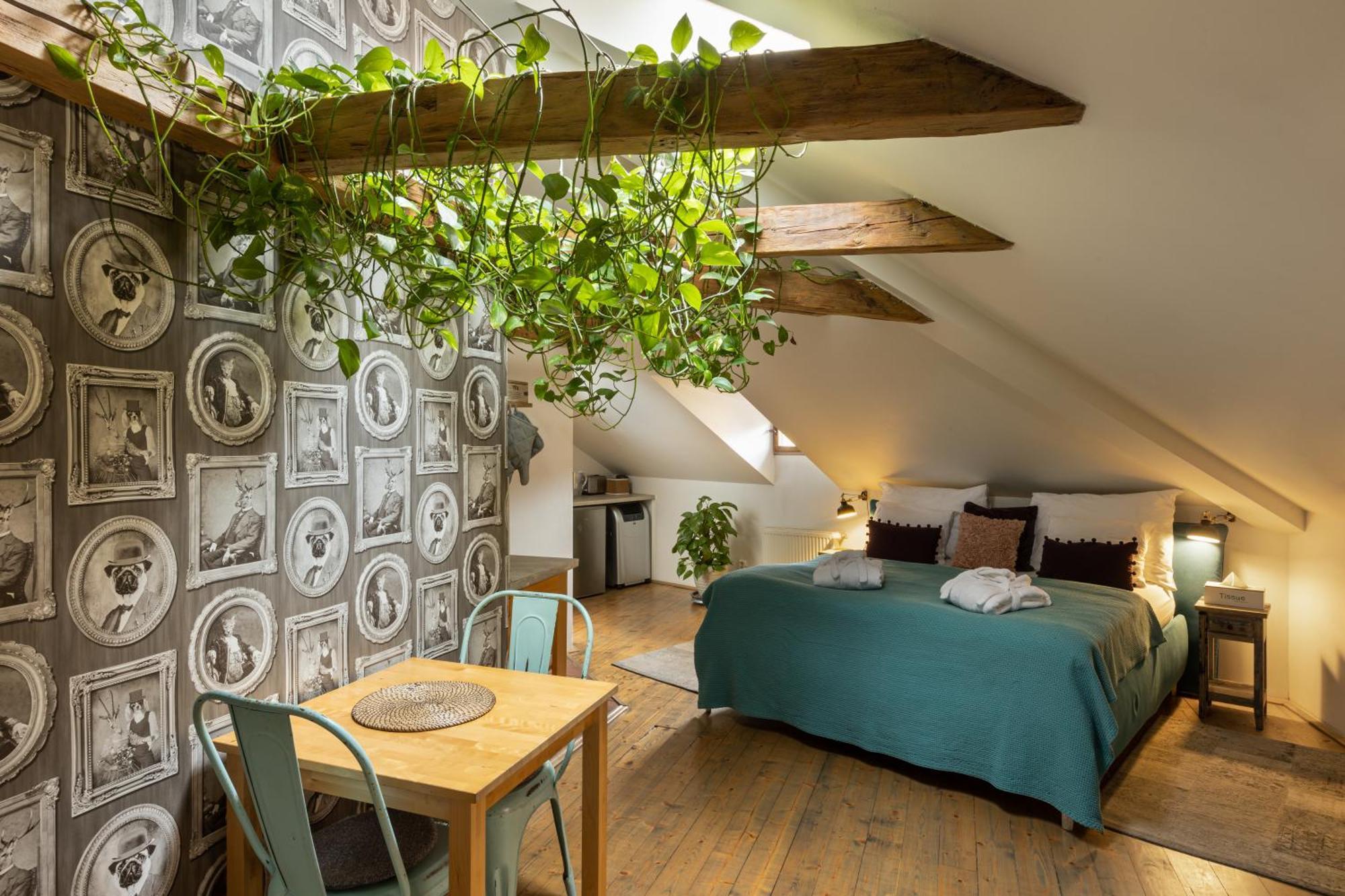Apartment Romantic Bohemian In Old Town